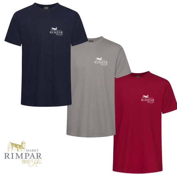 Premium Herren T-Shirt Light Grey mit Logo